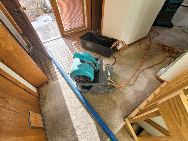 Best Commercial water damage restoration  in Black Creek, WI