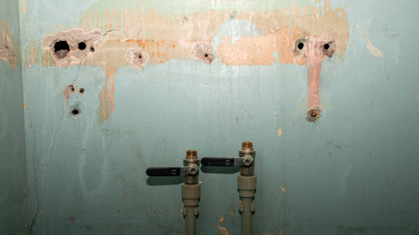 Best Sewage cleanup and water damage restoration  in Black Creek, WI