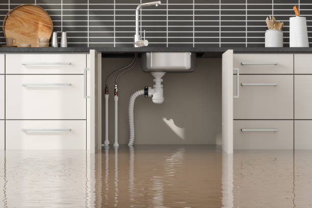 Black Creek, WI Water damage restoration Company